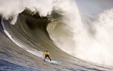 世界杯赛事速递-郁金香风暴，荷兰队的蝴蝶效应如何改写世界杯权力版图